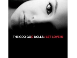 Let Love In ／ Goo Goo Dolls (グー・グー・ドールズ)【１型糖尿病の和訳ブログ】